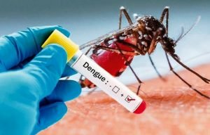 Oito mortes e 1.050 casos de dengue desde janeiro