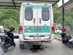 Karreta Bombeiru Transporta Pasiente, Ambulánsia Multifunsaun Grave