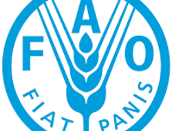 FAO-TL no MAPPF Implementa Projetu OSRO